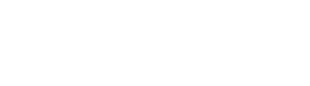 Vision